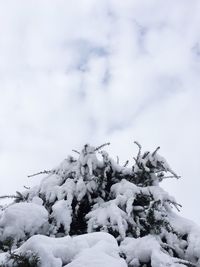 Scenic view of snow covered landscape