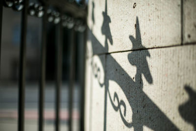 Shadow of fence on wall
