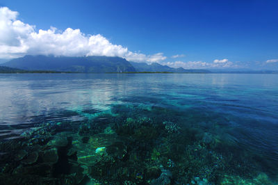 Scenic view of sea against blue sky