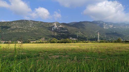 Scenic view of agricultural field against sky