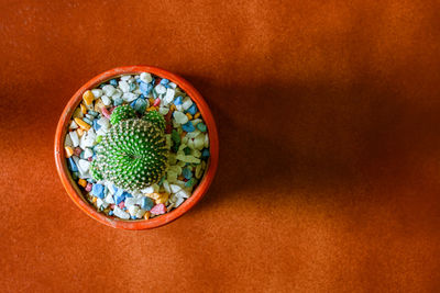 High angle view of food on table