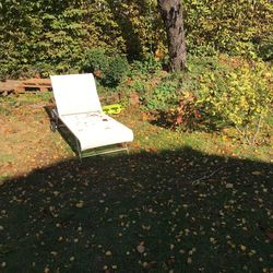 Plants and trees during autumn