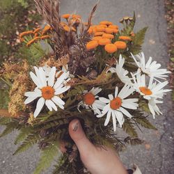 High angle view of person holding flowering plant