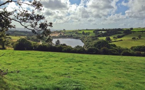 Scenic view of grassy field against cloudy sky