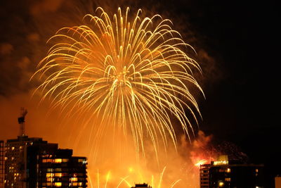 Firework display in sky at night