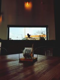 Close-up of cat sitting on table