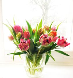 Close-up of red flowers