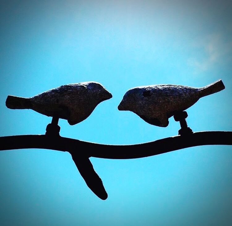 blue, no people, low angle view, animal themes, nature, bird, dinosaur, animals in the wild, sky, outdoors, day