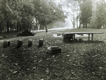 View of cemetery