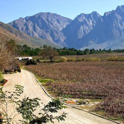 Country road leading towards mountains