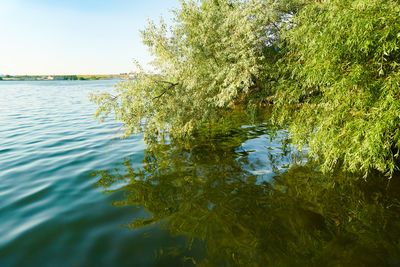 water