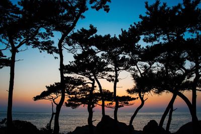 Scenic view of sea at sunset