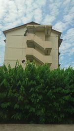 Low angle view of ivy against sky