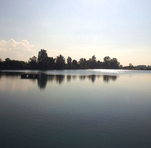 Reflection of trees in calm lake