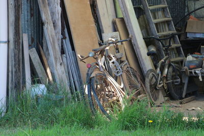 Horse cart on grass