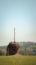 Scenic view of field against clear sky
