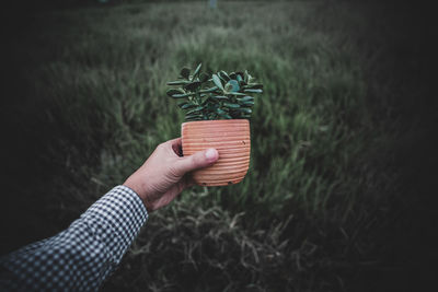 Close-up of hand holding potted plant