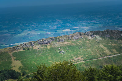 High angle view of trees on land