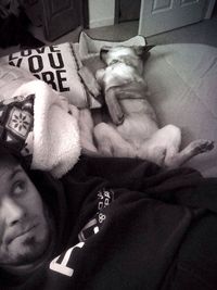 Cat sleeping on couch