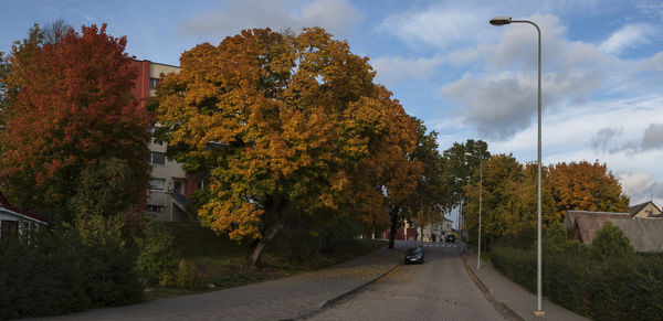 Street amidst trees and plants in city against sky