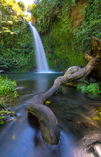 River flowing through rocks