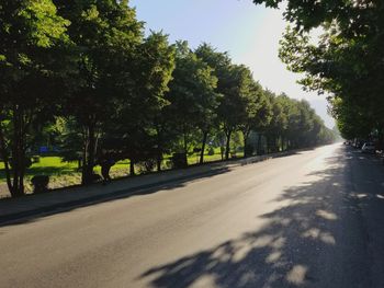 Road amidst trees in city against sky