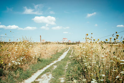 Scenic view of field against sky