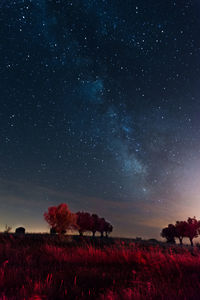 Scenic view of field against sky at night