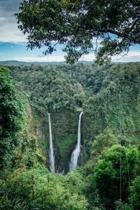 Scenic view of waterfall in forest