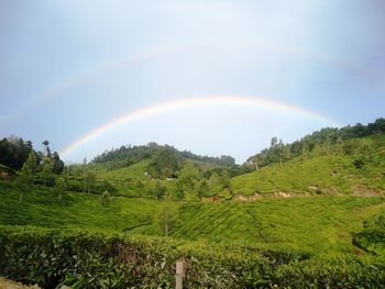 Scenic view of rainbow over landscape against sky