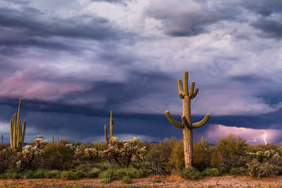 Scenic view of field against cloudy sky