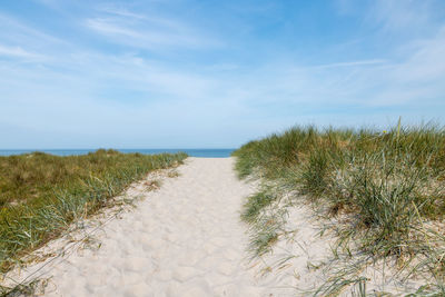 German baltic sea coast with sand dunes, grass, water and blue sky