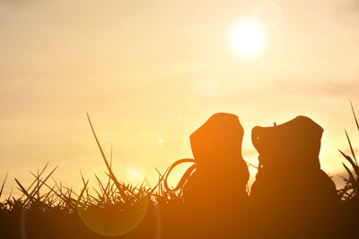 Silhouette people in halloween costume on field against sky during sunset