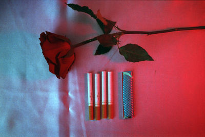 Close-up of clothes hanging on red wall