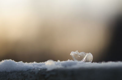 Close-up of frozen water