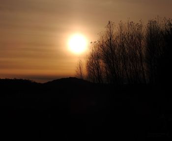 Silhouette trees against sky during sunset
