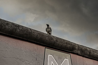 Low angle view of bird perching against sky