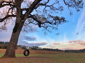 Trees on field against sky