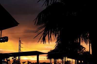 Low angle view of silhouette palm trees against sky during sunset