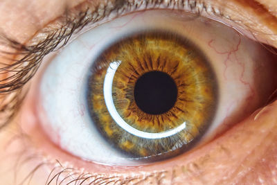 Close-up of human eye