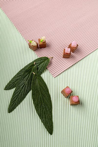 High angle view of leaves on table