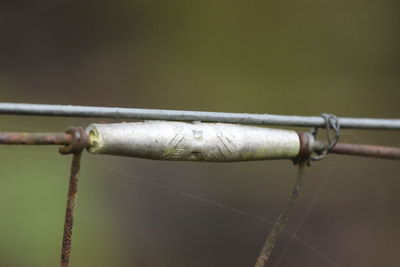 Close-up of barbed wire fence