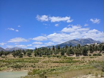 Scenic view of landscape against sky