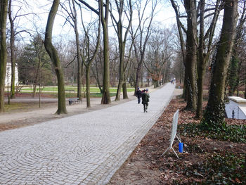 Rear view of people walking on footpath in park