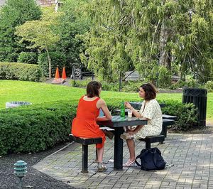 People sitting on seat against trees