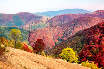 Romanian mountains in autumn season, cindrel mountains, paltinis area, sibiu county, central romania