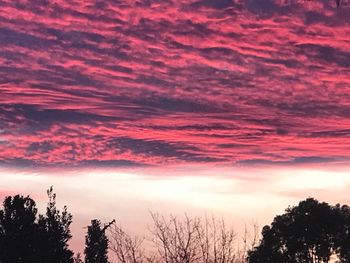 Low angle view of silhouette trees against dramatic sky