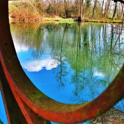 Reflection of trees in lake