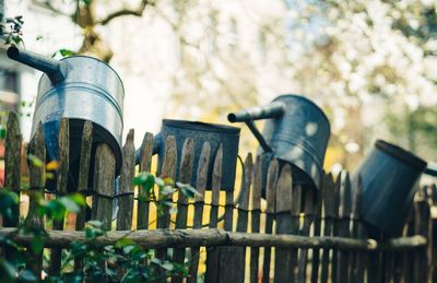 Watering cans on fence