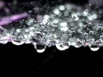 Close-up of water drops on glass